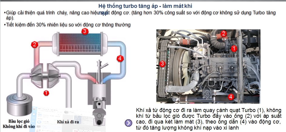 fuso hải phòng